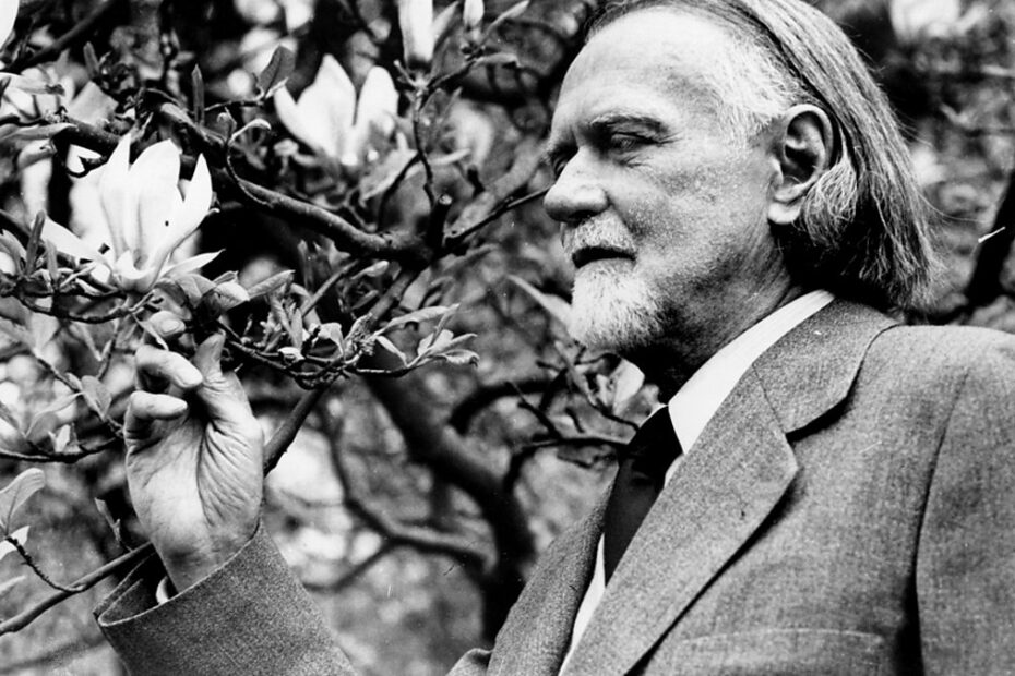 Imagen de Zoltan Kodaly